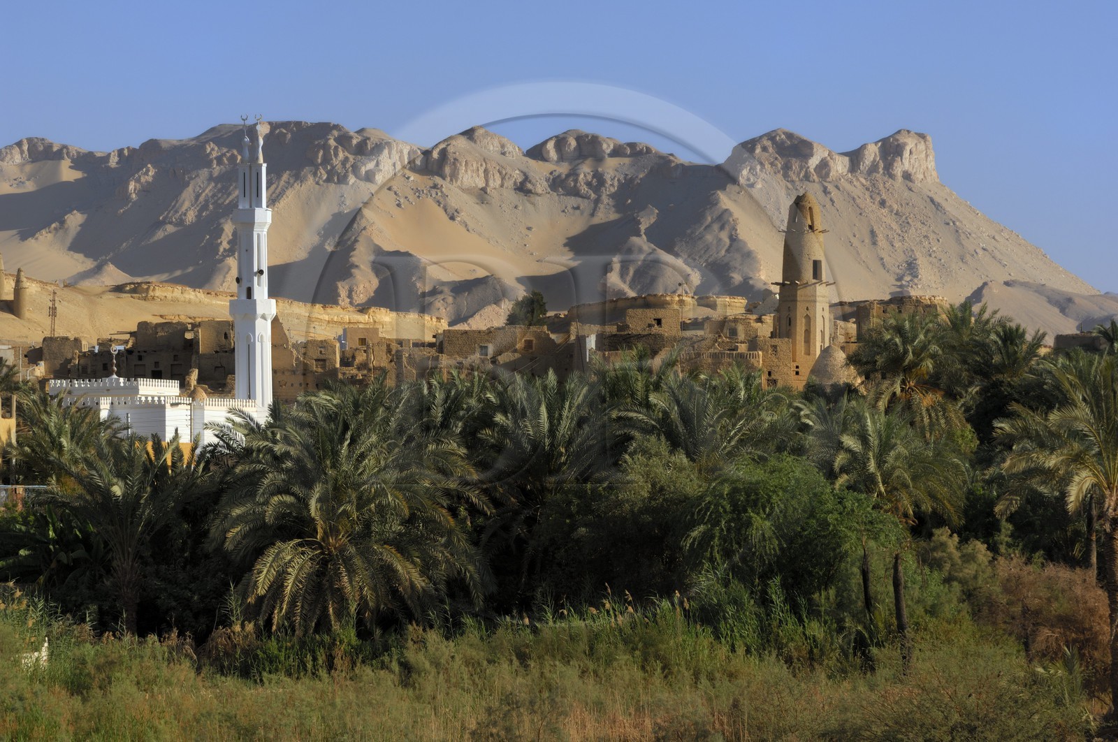 Egypte, Haute Egypte, désert libyque, oasis de Dakhla, vieux village de Al-Qasr, la mosquée de Nasr el-Din