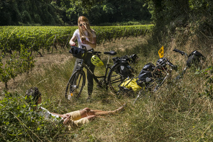 France, Maine-et-Loire (49), vallée de la Loire classée au Patrimoine Mondial par l'UNESCO, Dampierre à l'Est de Saumur, pause pendant une randonnée à bicyclette dans le vignoble des coteaux de la Loire