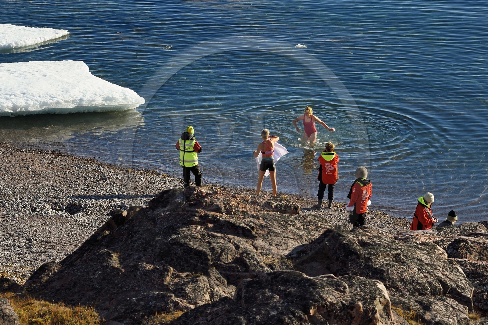 Groenland, cote Nord-Ouest, Smith sound au nord de la baie de Baffin, Inglefield Land, site de Etah dans le Foulke fjord, baignade polaire depuis la plage