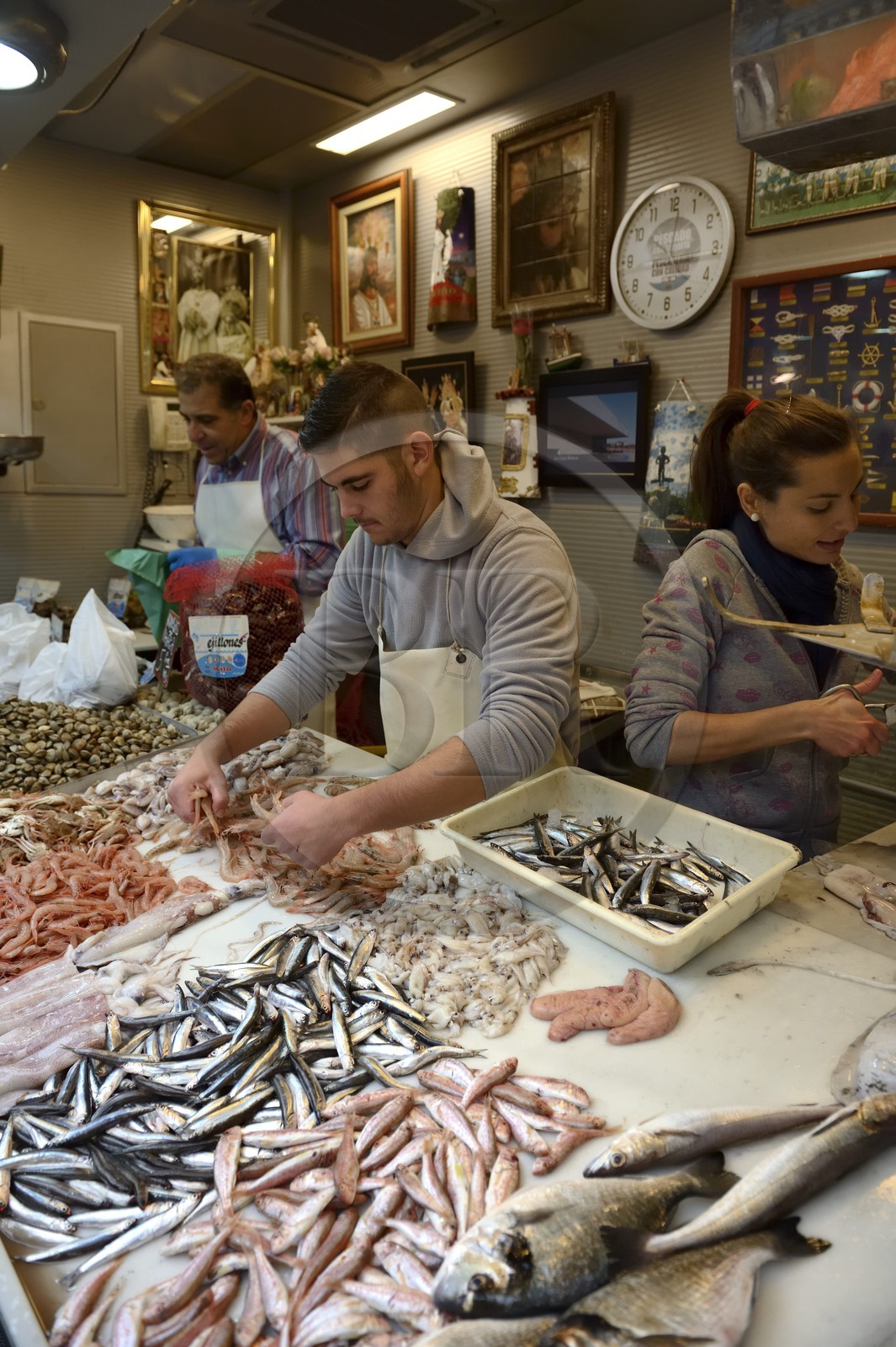 Espagne, Andalousie, Malaga, Mercado Central de Atarazanas, le marché aux poissons dans le marché central