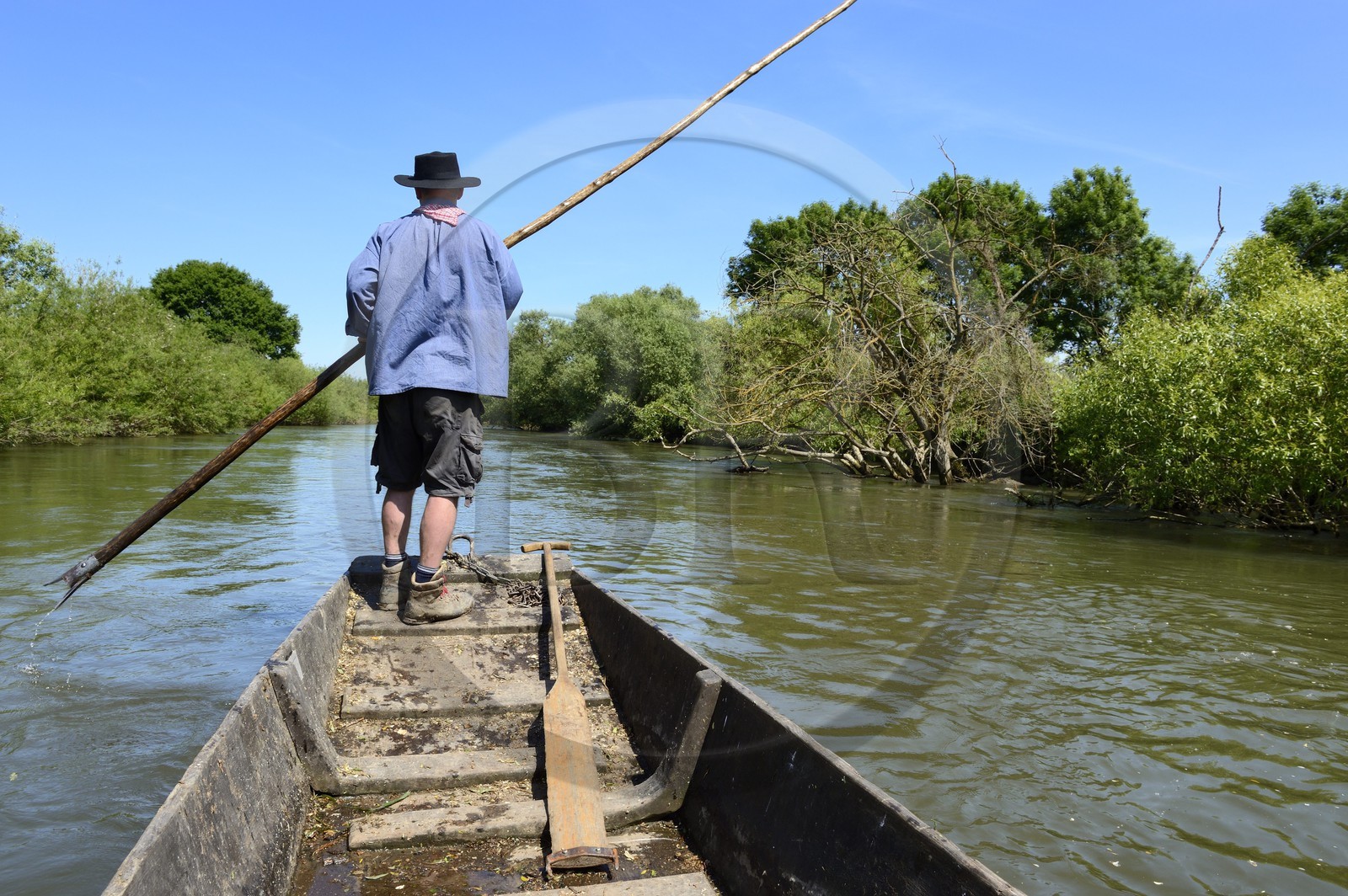 France, Bas Rhin, Ebersmunster and Muttersholtz region, the Ried, the boatman Patrick Unterstock in a small flat wooden bottom boat on the Ill river