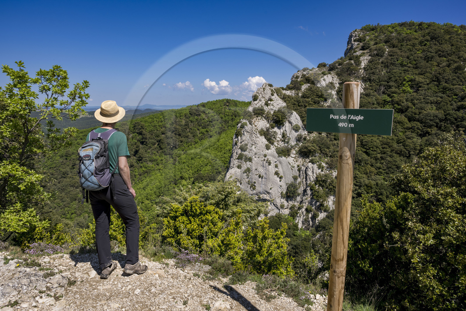 France, Vaucluse (84), Dentelles de Montmirail, Gigondas, randonneuse sur un sentier au Pas de l'Aigle, faille encaissée entre deux montagnes au pied de la crête de Saint-Amand