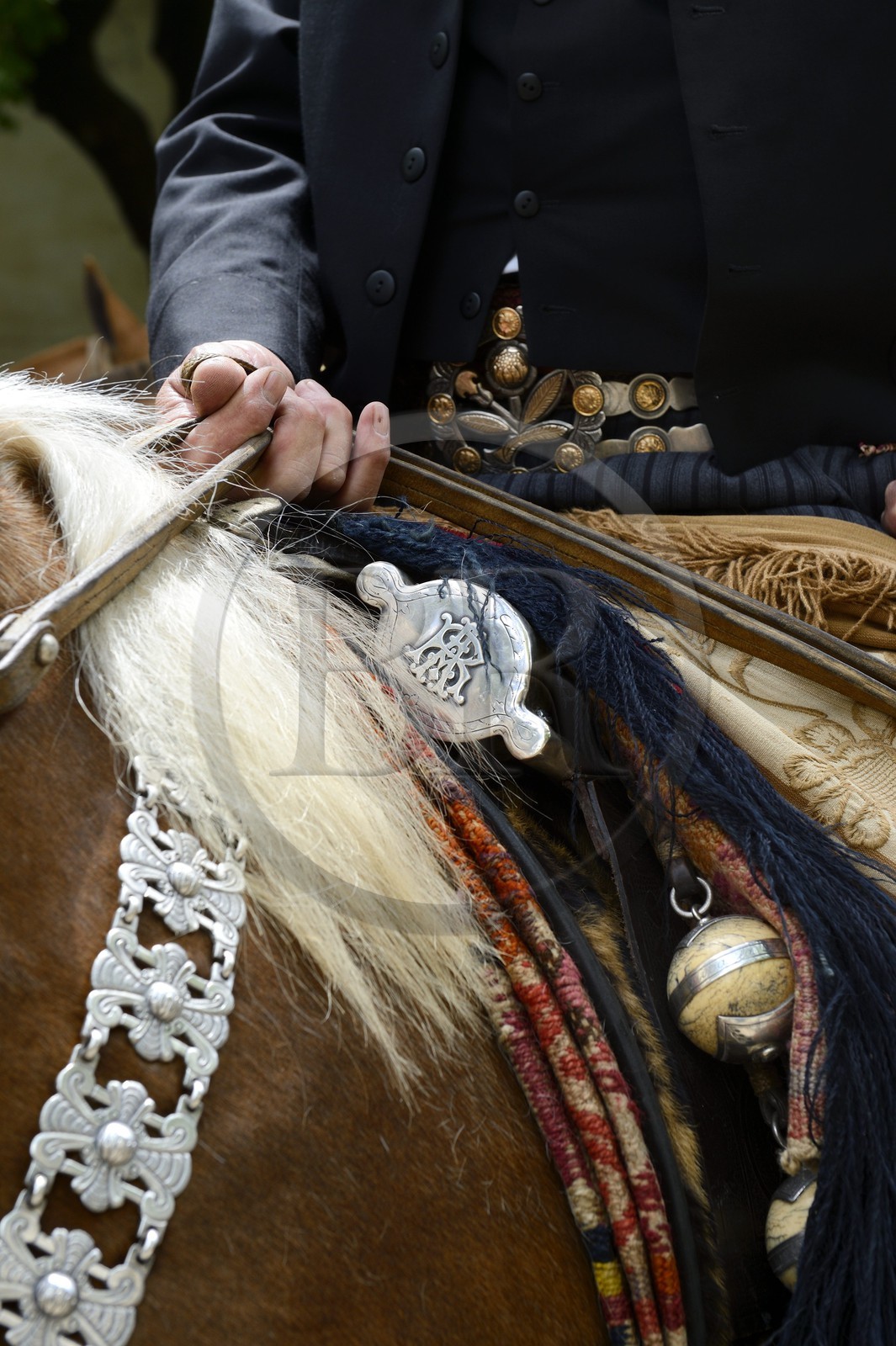Argentine, province de Buenos Aires, San Antonio de Areco, fête du Jour de la Tradition (Dia de la Tradicion), détail de la sellerie et les bolas (ou boleadoras)