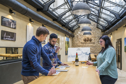 France, Cote d'Or, Climats terroirs of Burgundy listed as World Heritage by UNESCO, Beaune, Maison Champy, the oldest wine trading house in Burgundy, founded in 1720, tasting of grands and premiers crus in Pernand-Vergelesses and Corton-Charlemagne under the glass roof