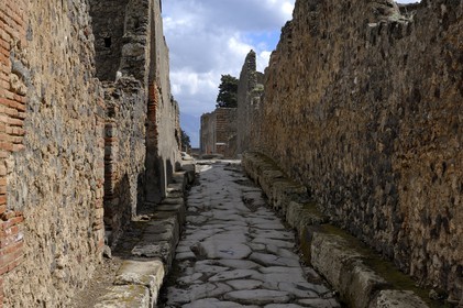 Italie, Campanie, Pompei, site archéologique classé Patrimoine Mondial de l'UNESCO, ancienne rue pavée de la ville