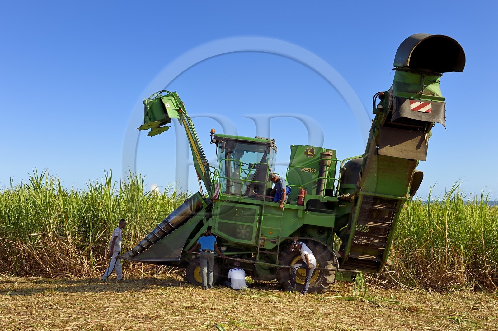 France, Ile de la Reunion, Saint-Louis, récolte mécanique avec une moissonneuse de canne à sucre dans un champ de canne à sucre