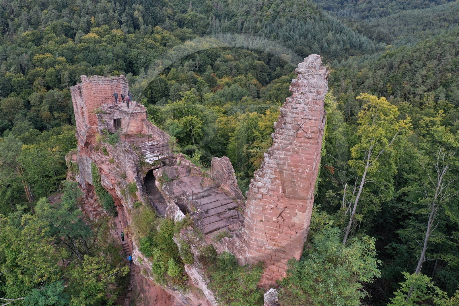 France, Bas Rhin, Northern Vosges Regional Natural Park, Niedersteinbach, Steinbach national forest, Wasigenstein Castle ruins (aerial view)