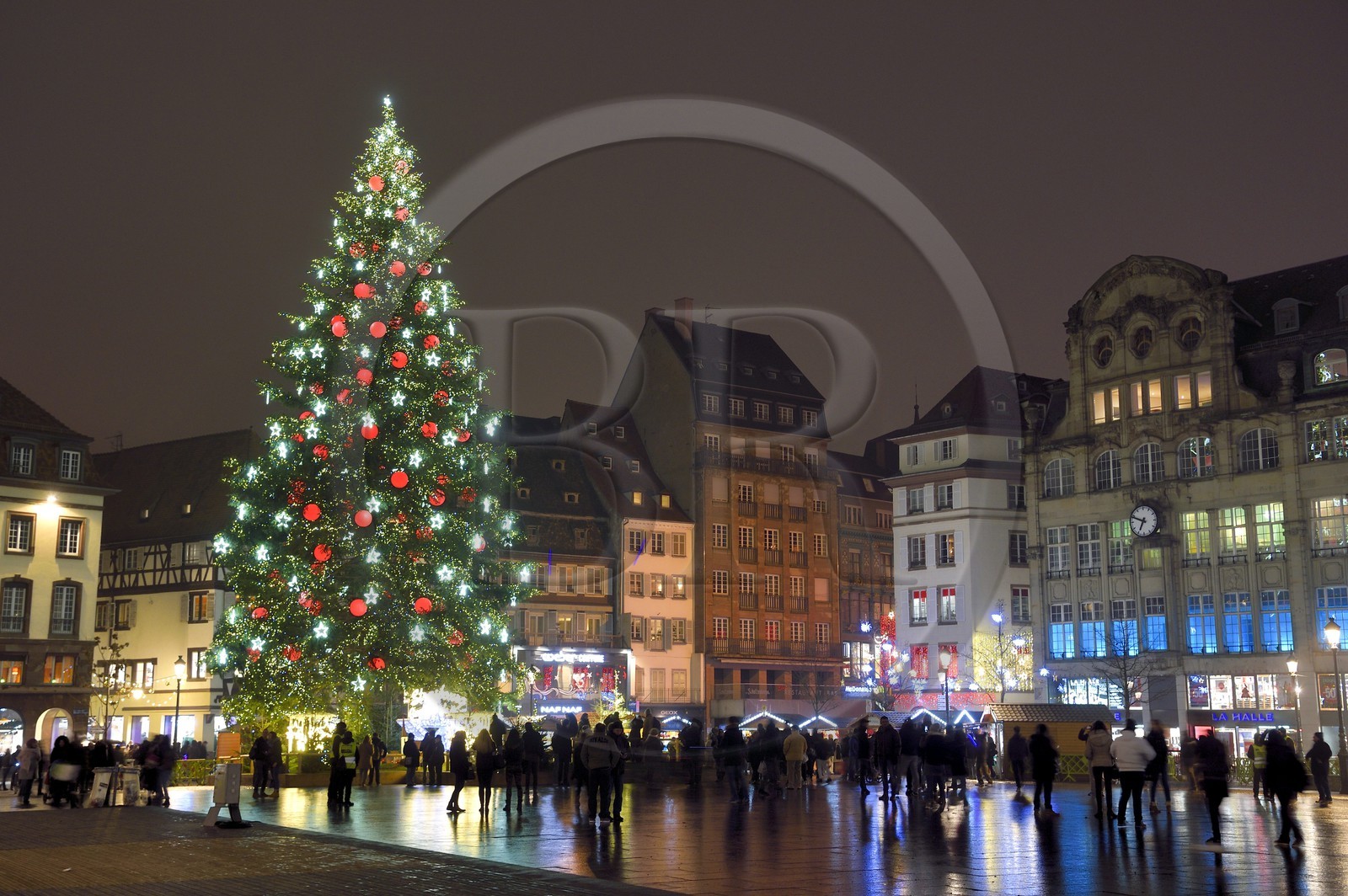 France, Bas-Rhin (67), Strasbourg, vieille ville classée Patrimoine Mondial de l'UNESCO, le Grand Sapin de Noël de la place Kléber