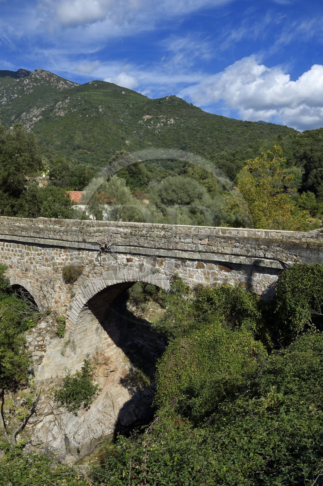 France, Corse-du-Sud (2A), Vallée du Prunelli, ponte di a petra sur le fleuve Prunelli à Palmente