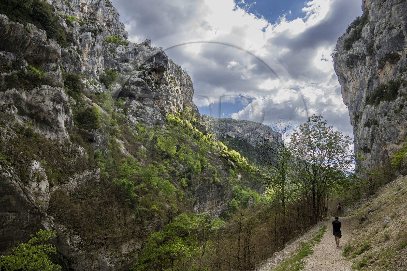 France, Alpes de Haute Provence, Parc Naturel Régional du Verdon, Rougon, Grand Canyon of Verdon in the corridor Samson and the beginning of the trail sentier Blanc-Martel on the GR4