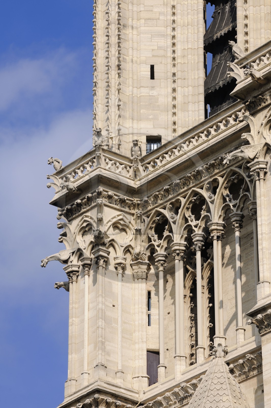 France, Paris, ile de la Cite, Notre-Dame Cathedral