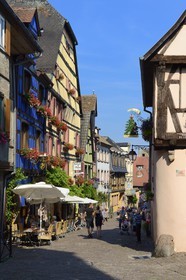 France, Haut-Rhin (68), Riquewihr, labellisé Les Plus Beaux Villages de France, la rue principale