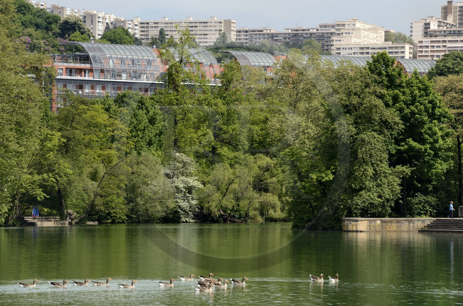France, Rhône (69), Lyon,  le parc de la Tête d' Or, le Lac et la Cité Internationale en arrière plan