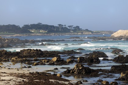 United States, California, 17 Mile Drive, Spanish Bay