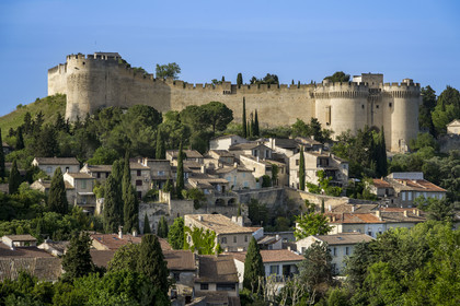 France (30), Gard, Villeneuve-lès-Avignon, Fort Saint André et ses remparts au dessus de la ville