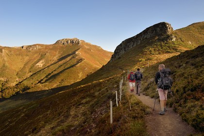 France, Cantal, Parc Naturel Régional des Volcans d'Auvergne (regional nature park of Auvergne volcanoes),  Le Lioran, col de Rombiere (mountain pass), hikers on the Way of St. James to Santiago de Compostela by Via Arverna, the puy de Peyre Arse left then the col de Cabre and the Puy Bataillouse right in the background
