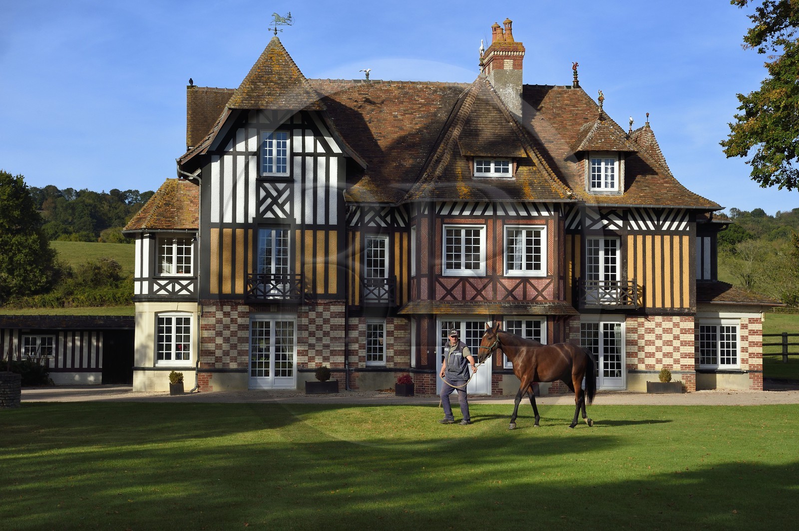 France, Calvados (14), Pays d'Auge, Beuvron-en-Auge, labellisé Les Plus Beaux Villages de France, manoir du Haras de Sens, le cheval Gold de Padd (fils de l'étalon Ready Cash) tenu par le stud groom Dominique Blachet