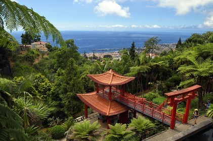 Portugal, Ile de Madère, Funchal, le jardin tropical Monte Palace domine Funchal, le pavillon japonais