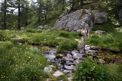 France, Alpes-Maritimes (06), parc national du Mercantour, vallon de la Minière en contrebas de la Vallée des Merveilles