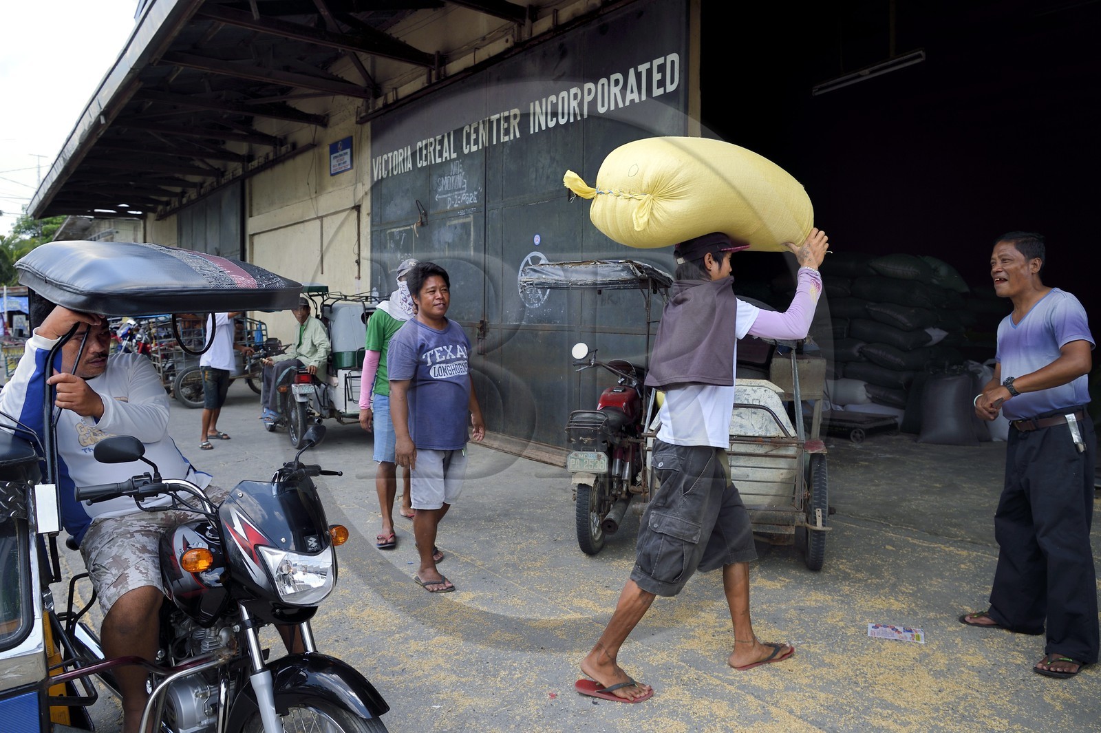 Philippines, province of Tarlac, Victoria, cereals delivery on a tricycle motorcycle taxi