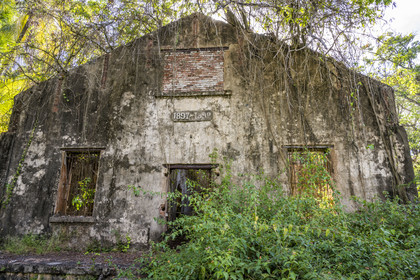 France, Guyane, Kourou, Iles du Salut, l'Ile Saint-Joseph, ruine du bagne consacré à la réclusion des prisonniers les plus difficiles