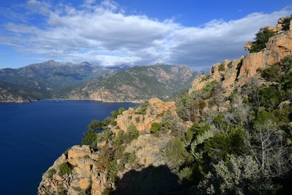 France, Corse-du-Sud (2A), Golfe de Porto, classé Patrimoine Mondial de l'UNESCO, calanches de Piana aux rochers de granit rose depuis le lieu dit du Chateau-Fort