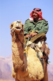 Jordanie, le Wadi Rum, patrouille du ìCamel Corp ou police du désert sur leurs dromadaires