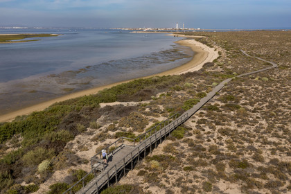 Portugal, Algarve, Parc naturel de la Ria Formosa, Faro, chemin de planches de bois sur l'Ile de Barreta ou Deserta (Ilha da Barretta ou Deserta), le phare de Ilha do Farol sur Ilha da Culatra en arrière plan (vue aérienne)