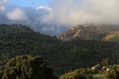 France, Corse du Sud, Sartene region, village of Fozzano