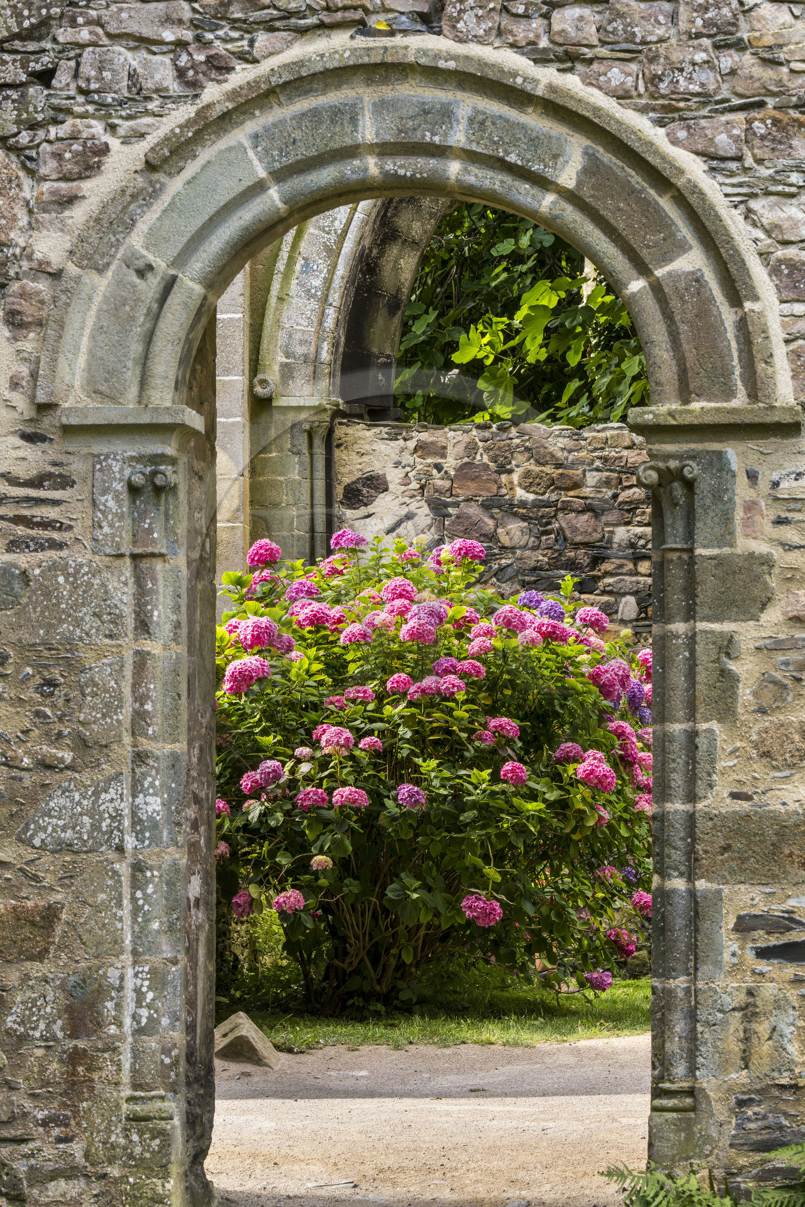 France, Côtes d'Armor (22), Paimpol, abbaye de Beauport du XIIIème siècle