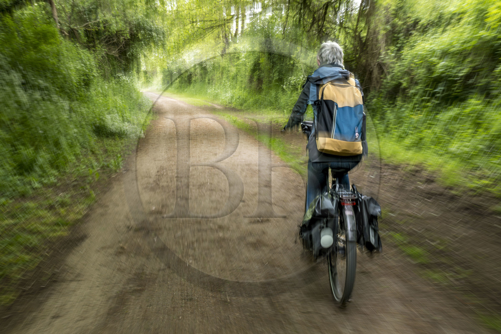 France, Vendee, Fontenay le Comte, cyclist on the Vendée Vélo Tour cycle route trail built on a former railway line