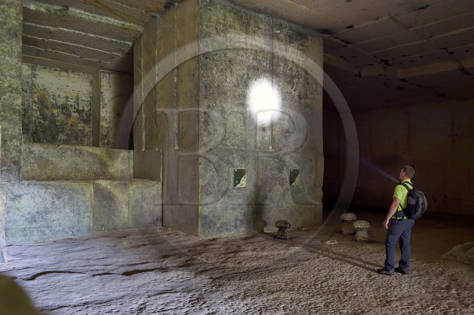 France, Dordogne, Regional Natural Park Périgord Limousin, Perigord Vert, La Rochebeaucourt-et-Argentine village area, Argentine plateau, former limestone quarry