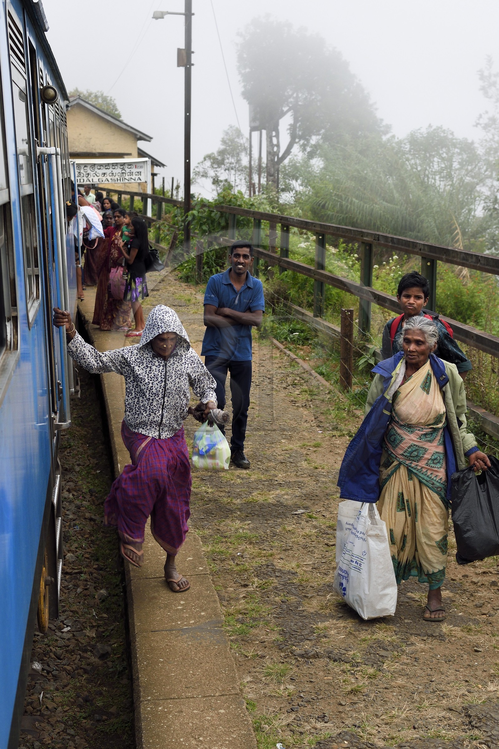 Sri Lanka, Province d'Uva, trajet en train dans la région montagneuse de la culture du thé entre Hatton et Ella, gare de Idalgashinna