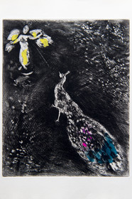 France, Aisne, Château-Thierry, Jean de La Fontaine Museum - city of Chateau-Thierry, illustrations from La Fontaine's Fables, The Peacock Complaining to Juno fable XVII from Book II, prints by Marc Chagall, 1927-1930 (copper engraving), published by Tériade in 1952, etching on wove paper, heightened with gouache and watercolor