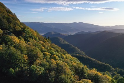 France, Haut-Rhin (68), Parc naturel r
