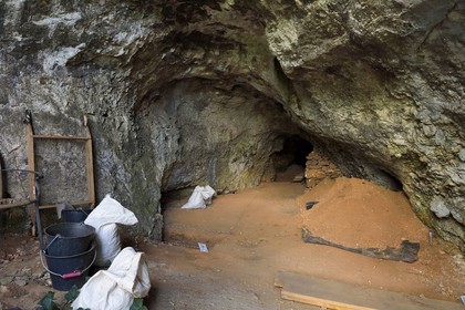 France, Dordogne (24), Périgord Noir, vallée de la Vézère, Les Eyzies-de-Tayac-Sireuil, site classé Patrimoine Mondial de l'UNESCO, abri préhistorique de la Ferrassie où a été découvert les restes de 7 Néandertaliens