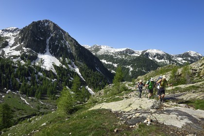 France, Alpes-Maritimes (06), parc national du Mercantour, Haute-Vésubie, randonnée dans le vallon de la Madone de Fenestre