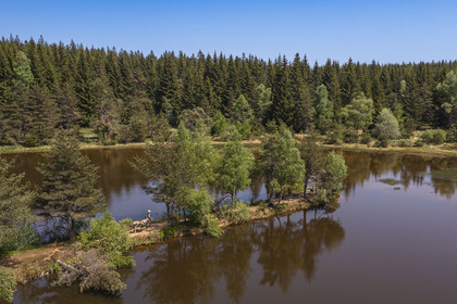 France, Lozère (48), Luc, randonnée avec un âne sur le chemin de Stevenson (GR 70) en bordure de l'étang de l'Auradou (vue aérienne)