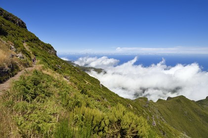 Portugal, Ile de Madère, randonnée sur le Vereda do Areeiro entre les monts Pico Ruivo (1862m) et Pico Arieiro (1817m), randonneurs sur le sentier qui monte depuis Achada do Teixeira