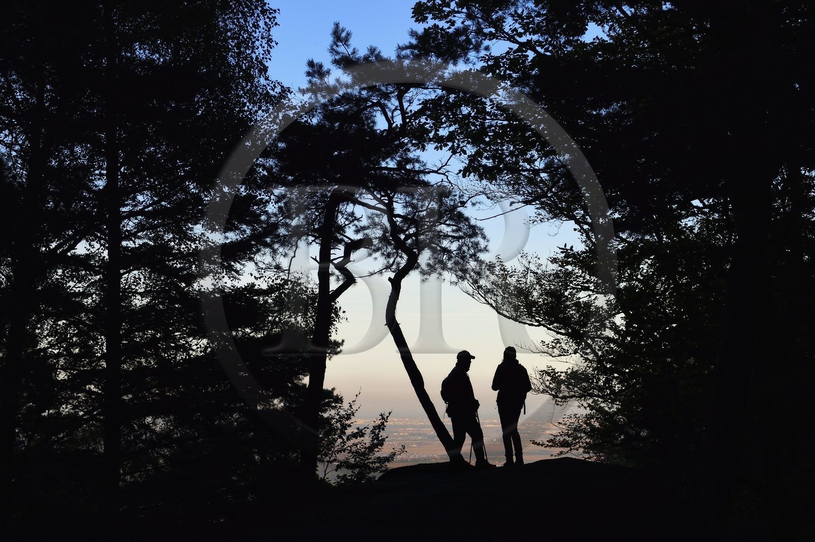 France, Bas-Rhin (67), Mont Saint-Odile, randonnée autours du Mur Païen, vue depuis le Rocher Oberkirch sur la plaine d'Alsace en arrière plan