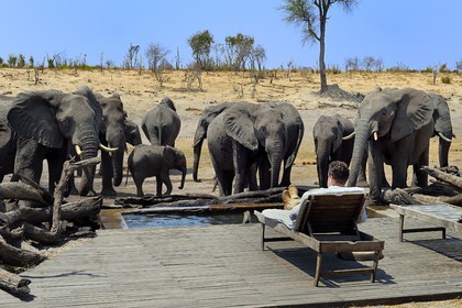 Zimbabwe, Matabeleland North Province, Hwange National Park, Somalisa Expedition Camp from African Bush Camps, watching elephants drinking at the edge of the lodge