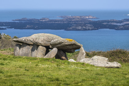 France, Côtes-d'Armor (22), Côte de Granit Rose, Trébeurden, Ile Millau, allée couverte du néolithique qui aurait servi de monument funéraire
