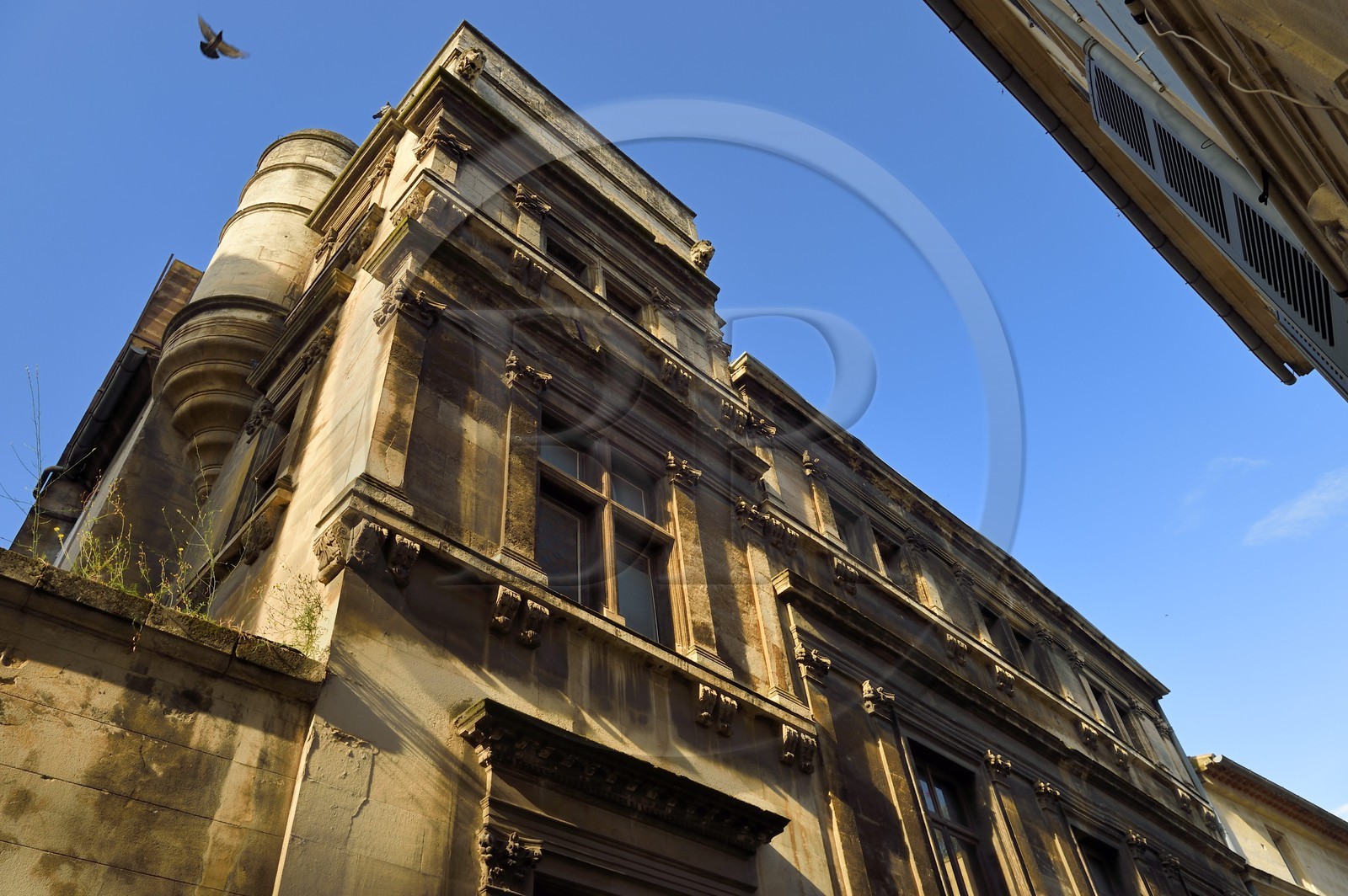 France, Bouches du Rhone, Arles, Hotel Forbin-Soliers (mansion) rue des arènes