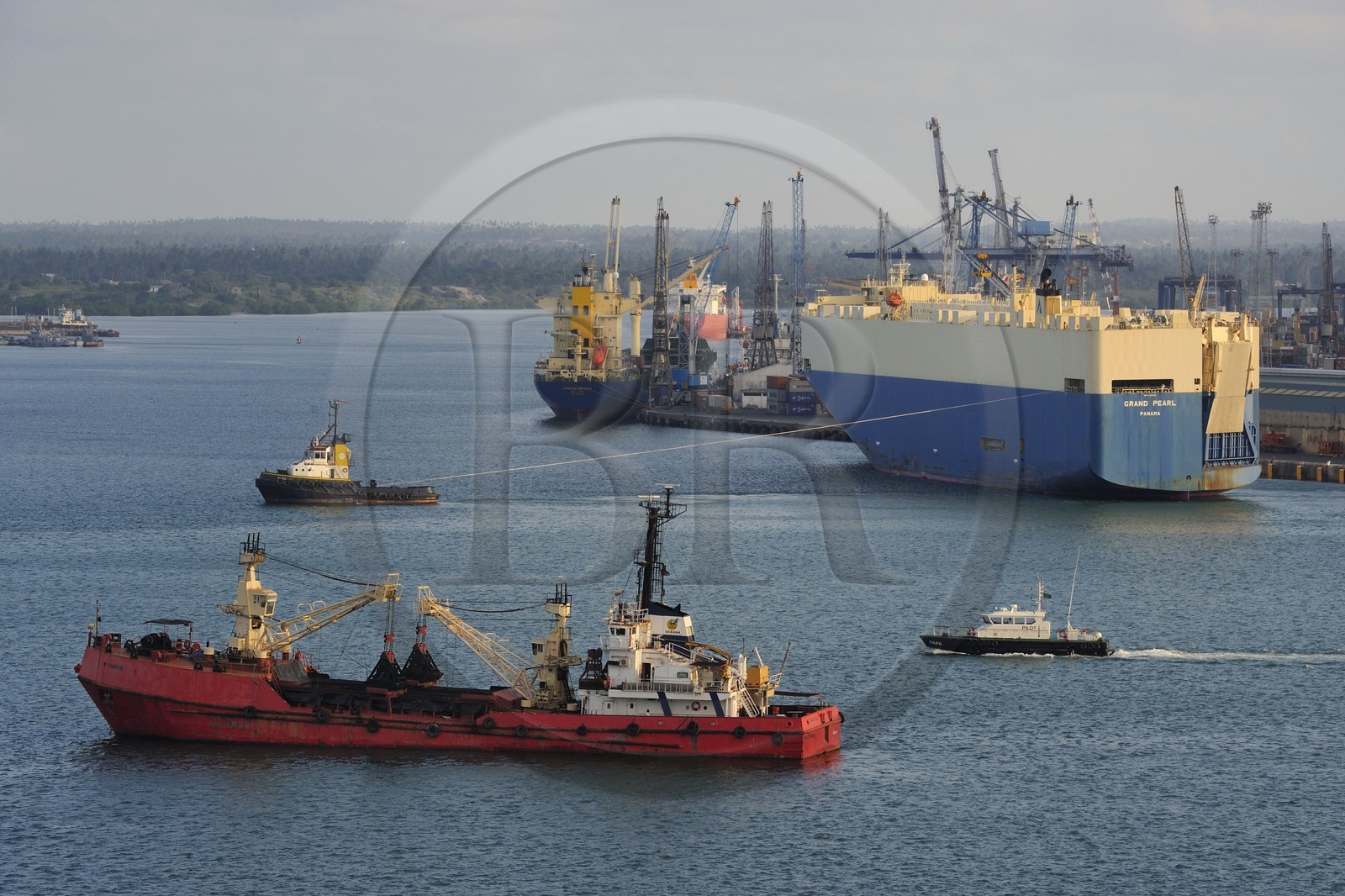 Tanzanie, Dar es-Salaam, cargo dans le port de commerce