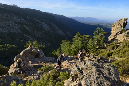 France, Corse-du-Sud (2A), Alta Rocca, Aiguilles de Bavella, randonneurs sur la variante alpine de l'étape du GR 20