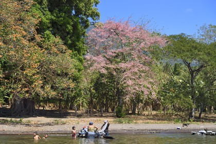 Nicaragua, Ile d'Ometepe sur le lac Nicaragua, village de Merida, femmes faisant leur lessive dans le lac