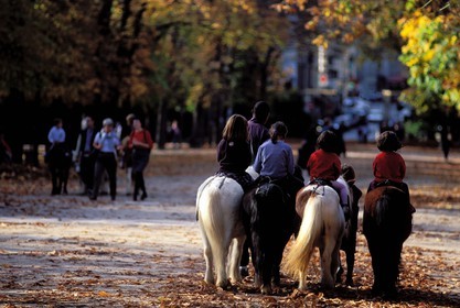 France, Paris (75), les jardin du Luxembourg