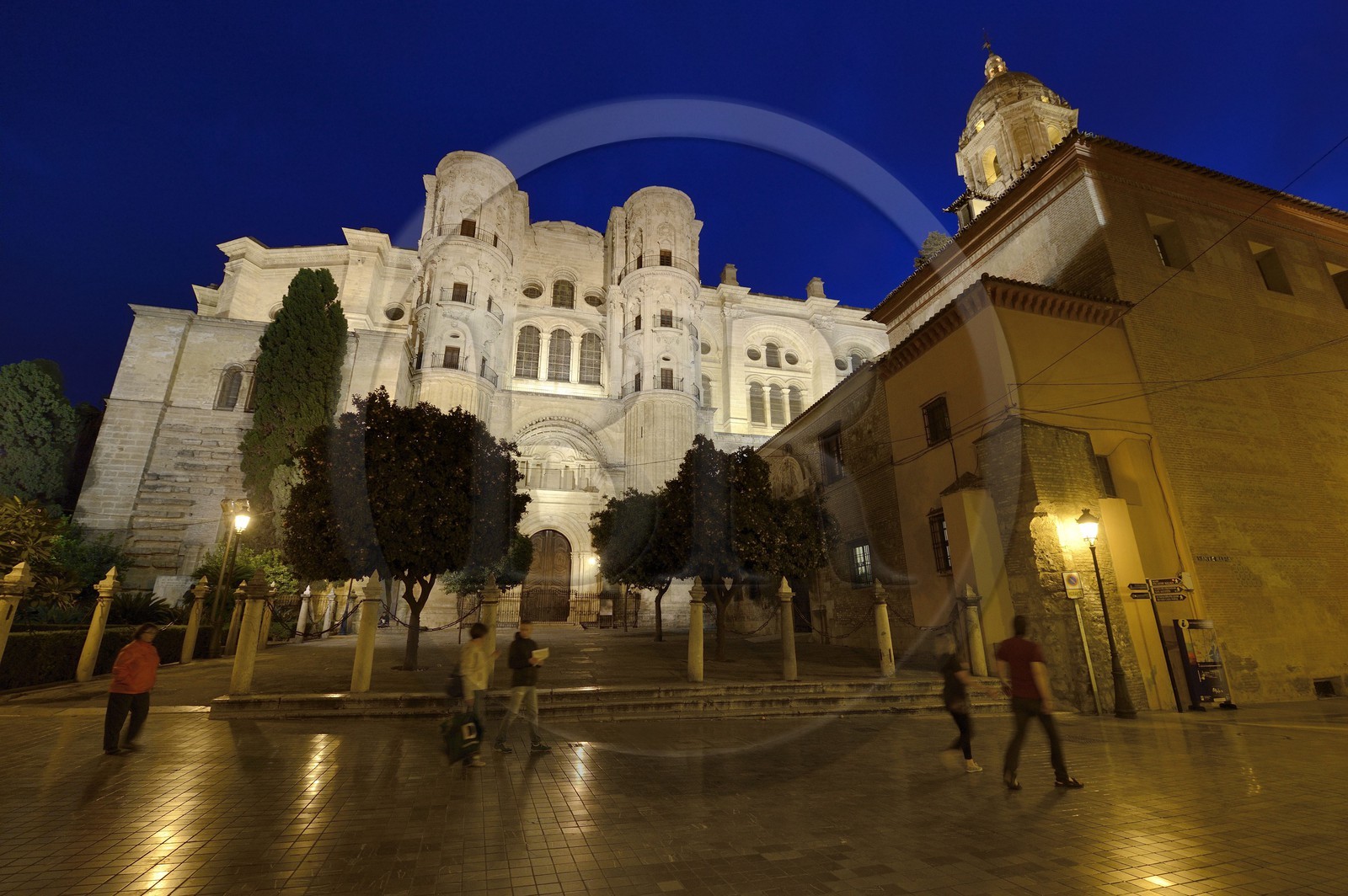 Espagne, Andalousie, Malaga, la cathédrale, Catedral Basílica de la Encarnacion