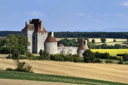 France, Allier (03), former province of Bourbonnais, Besson, Fourchaud castle (14th century to 16th century) now belonging to the descendants of the Bourbon-Parma