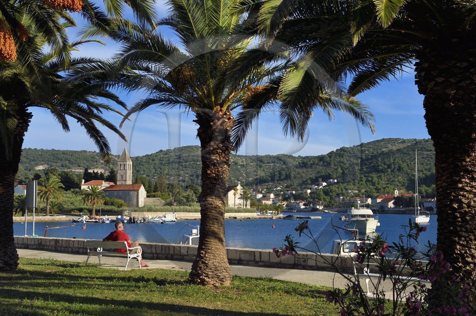 Croatie, Dalmatie, cote dalmate, Ile de Vis, village de Vis, monastère Saint-Jérome édifié au XVIe siècle par les franciscains sur la petite péninsule de Pirovo